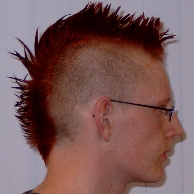 mohawk.jpg